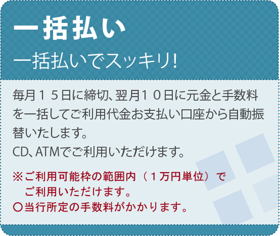 一括払いについての説明